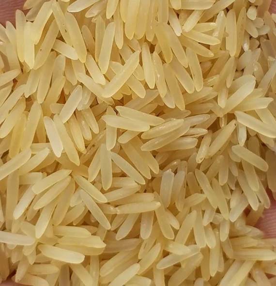 PR 11/14 Golden Sella Non-Basmati Rice